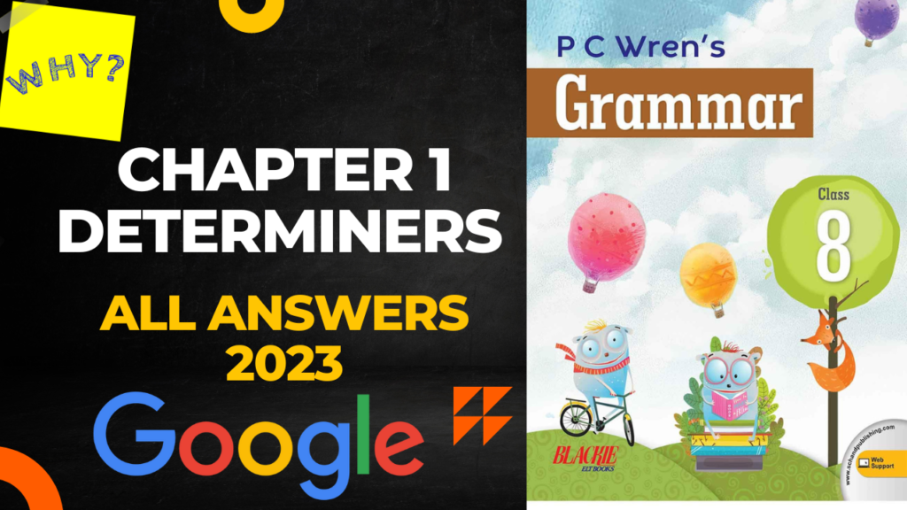 class 8 english grammar book solution chapter 1 determiners