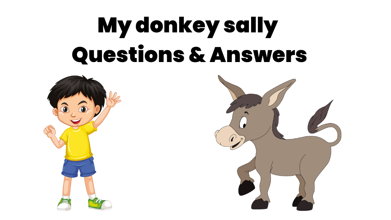 My donkey sally Summary, Analysis, and Questions & Answers