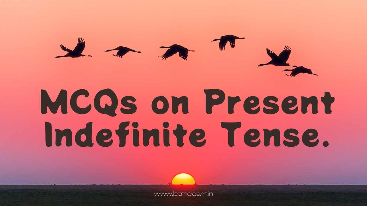 MCQs on Present Indefinite Tense.